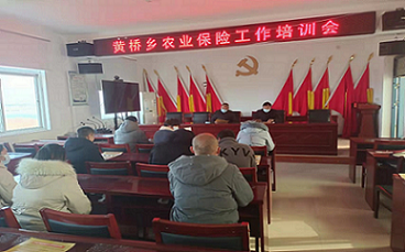 平安产险周口中支：扎实做好农险惠农政策宣传工作
