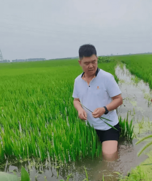 阳光财险：发挥助力乡村全面振兴的保险力量