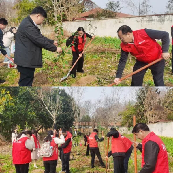 人保寿险周口中支开展植树节主题活动