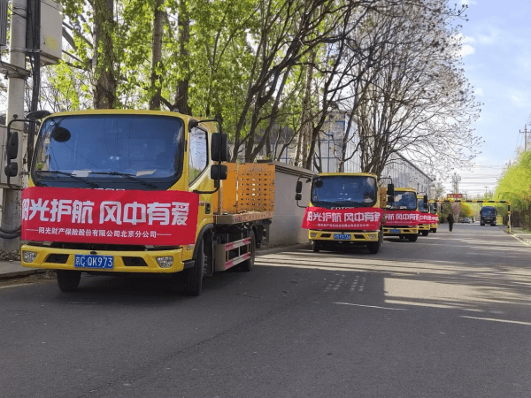 筑牢“防风墙”！阳光财险积极迎战 极端大风天气考验